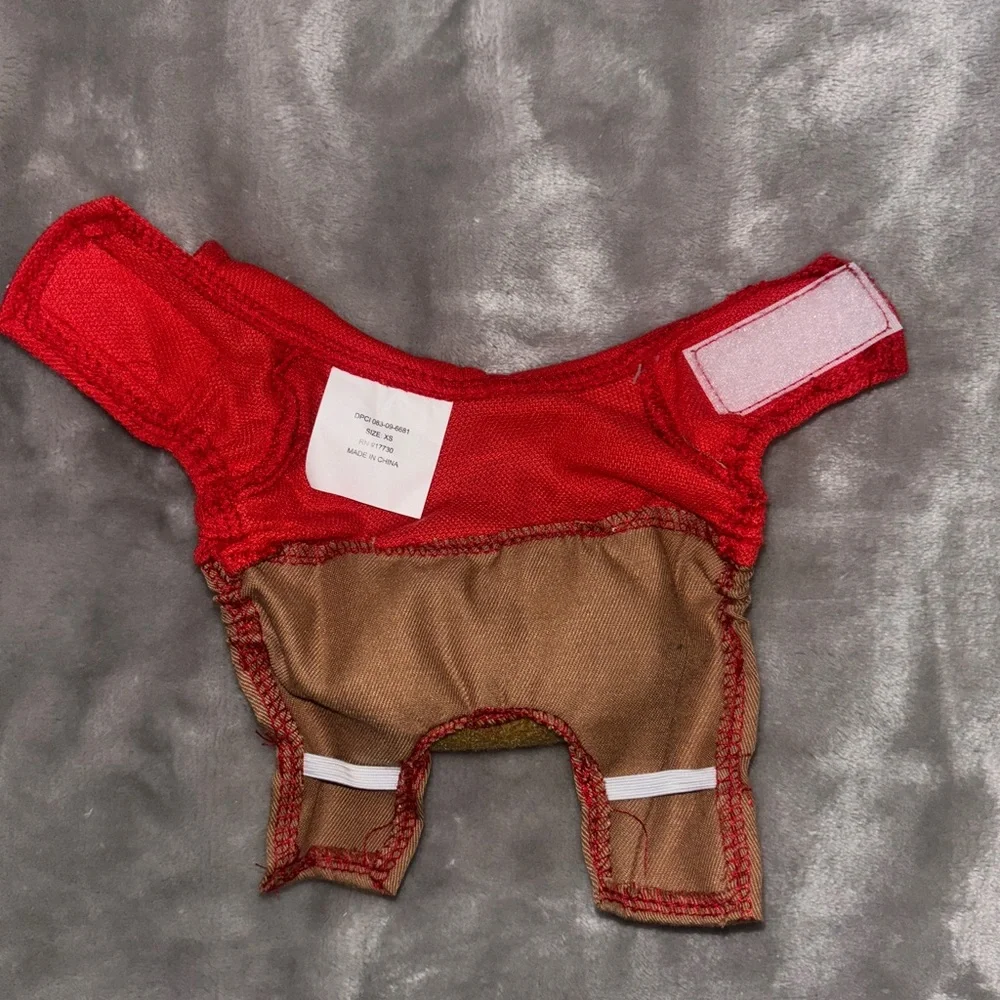 Halloween Target Delivery Dog and Cat Frontal Costume